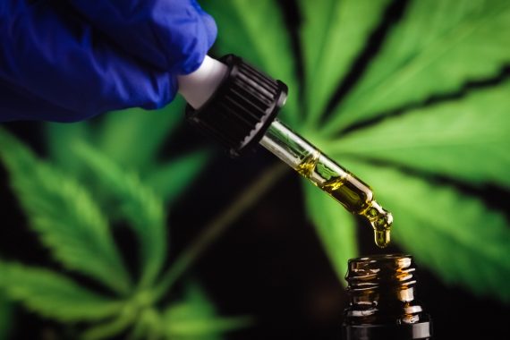 Medicinal cannabis ‘safe and effective’ to relieve cancer pain, say researchers