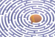 Mythbusting the ‘rescue plan’