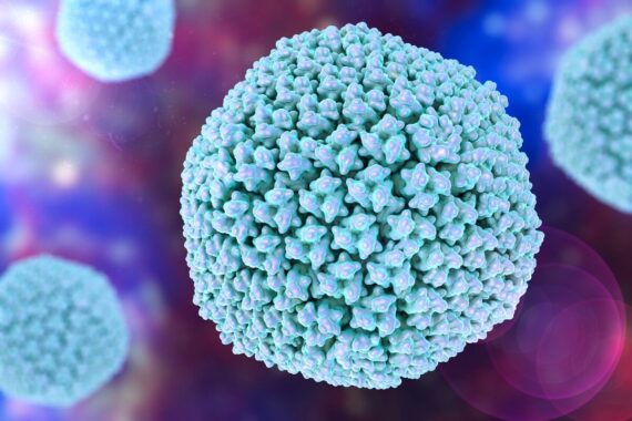 Adenovirus ‘increasingly’ likely child hepatitis culprit but Covid link not ruled out