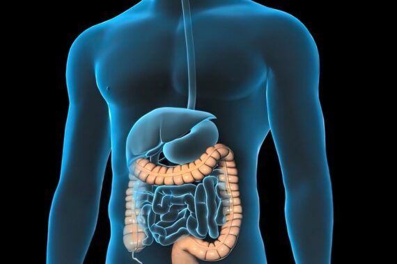 Colorectal A&G pathway has been ‘barrier’ to cancer diagnoses, GPs warn