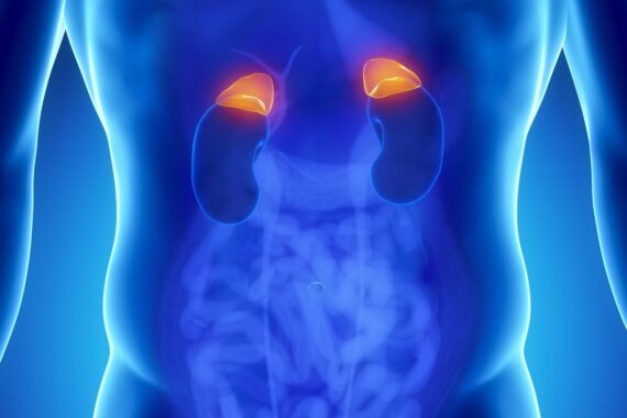 Once in a Lifetime: Addison’s disease
